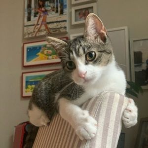 Meet your Posher, Lynda